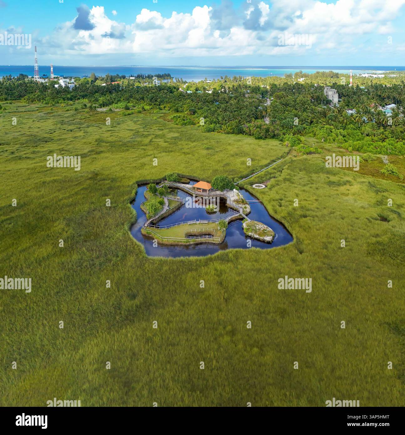 Aerial view of eco garden with hut and swamp, Meedhoo, Addu Atoll ...