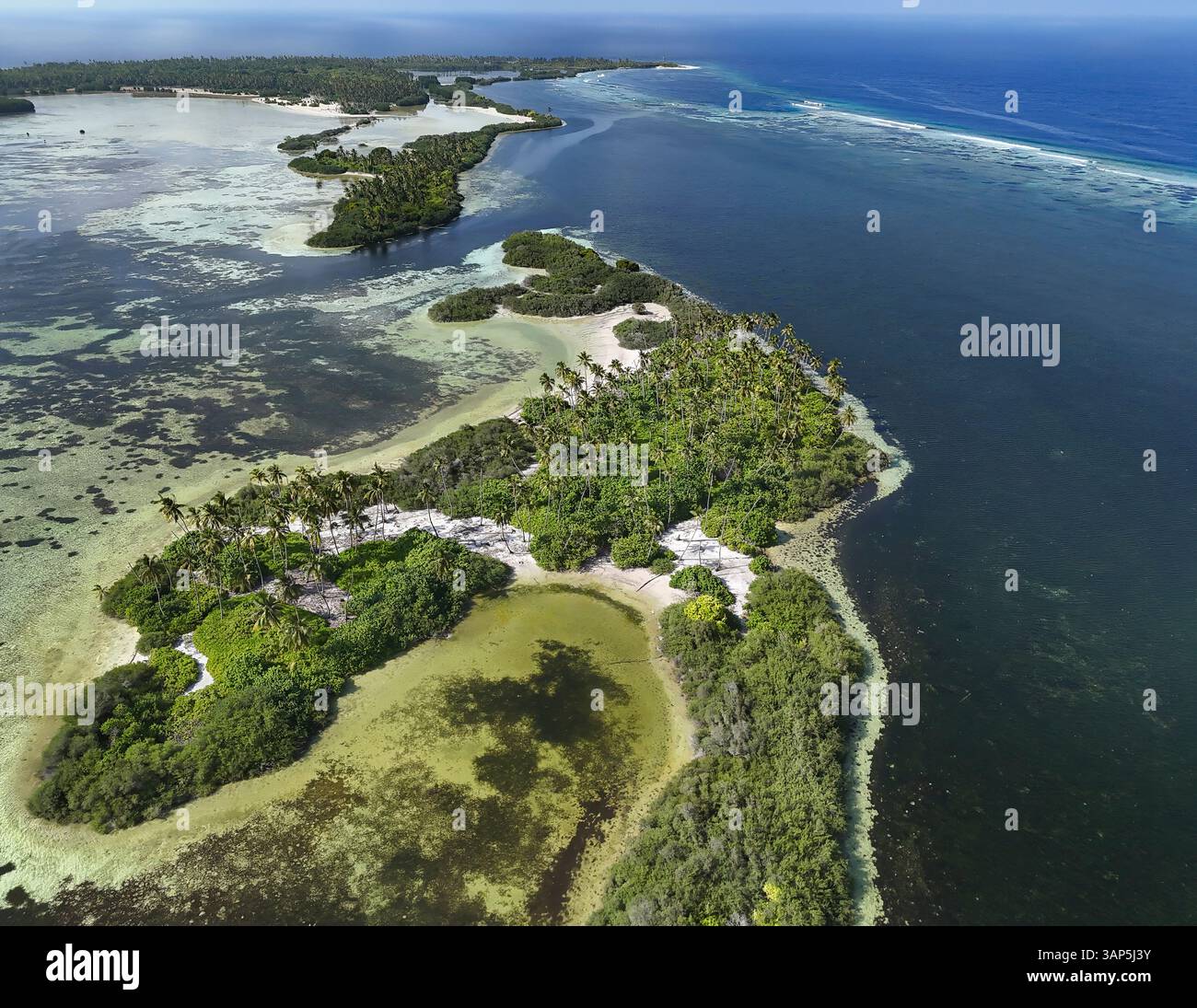 Aerial view of Addu Nature Park with palm trees and swamp, Hithadhoo ...