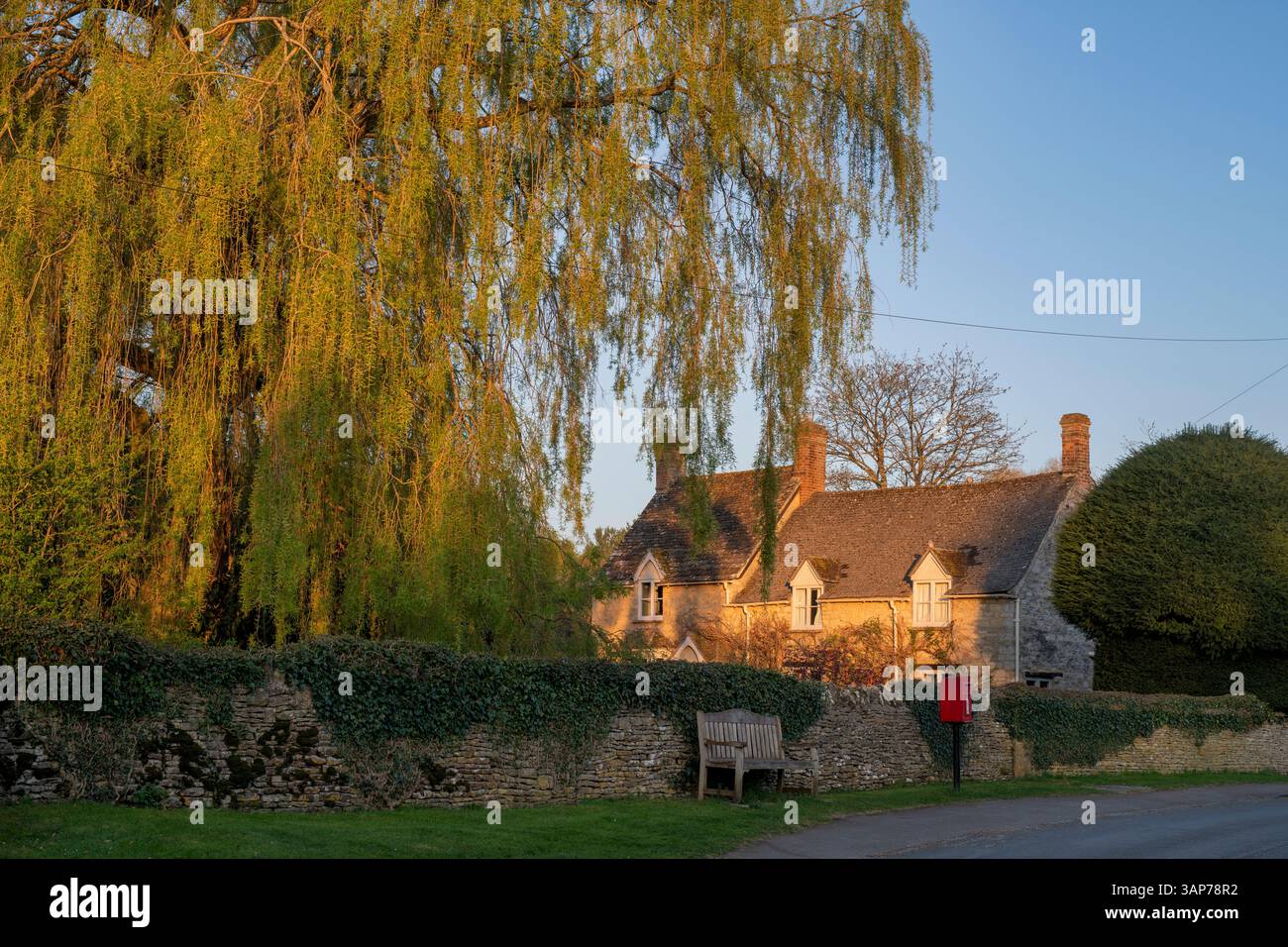 Weeping willow in front of a cottage in the early spring morning. Ramsden, Cotswolds, Oxfordshire, England. Stock Photo