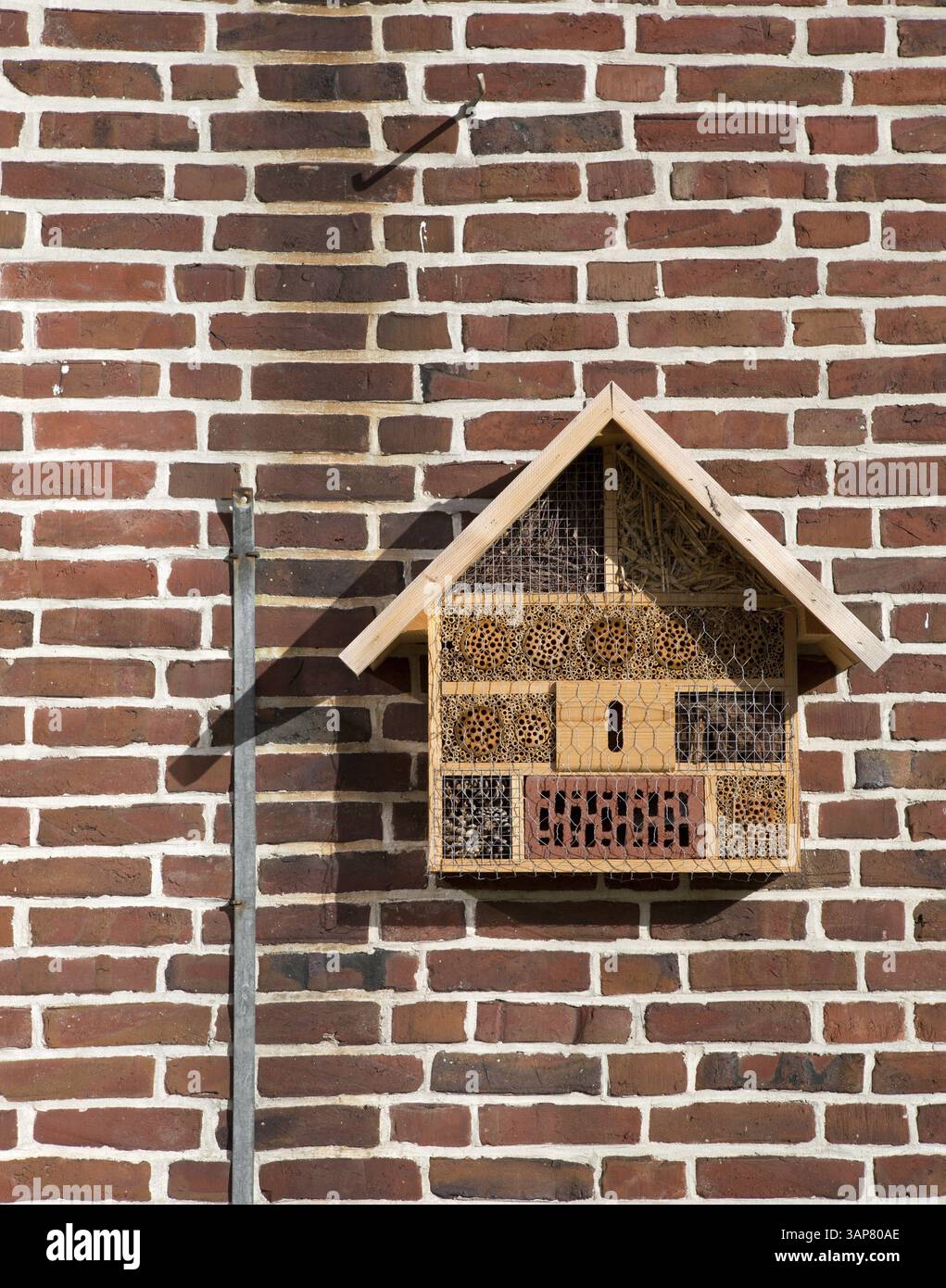 Burrow walls hi-res stock photography and images - Alamy