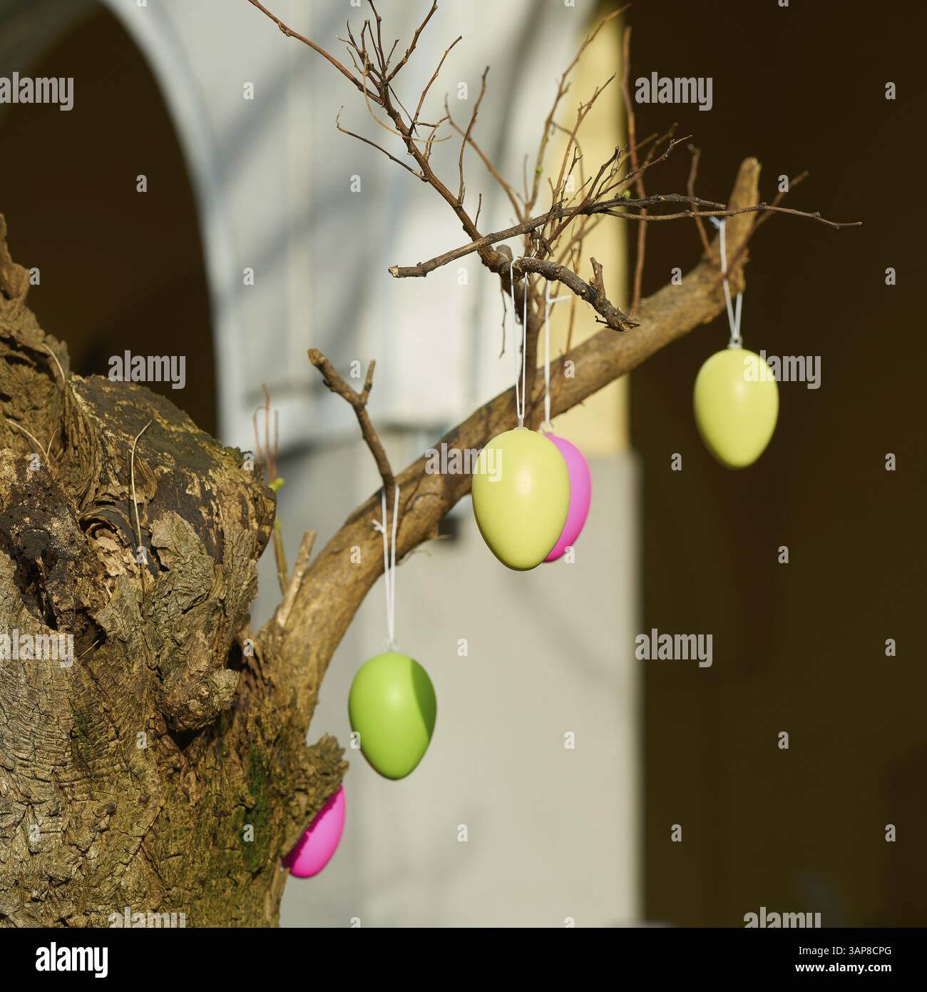 Tree decorated with Easter eggs Stock Photo