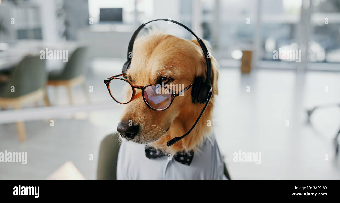 Golden dress hi-res stock photography and images - Page 18 - Alamy, image size:1300x775