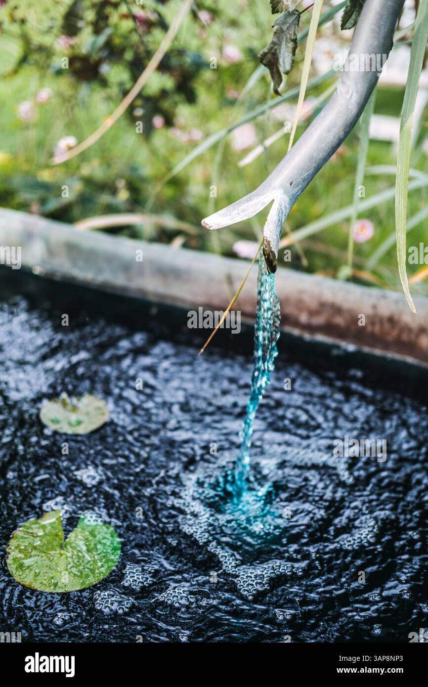 Water flows from a sculpted metal pipe into a tranquil garden pond with ... - Water Friendly Garden Design