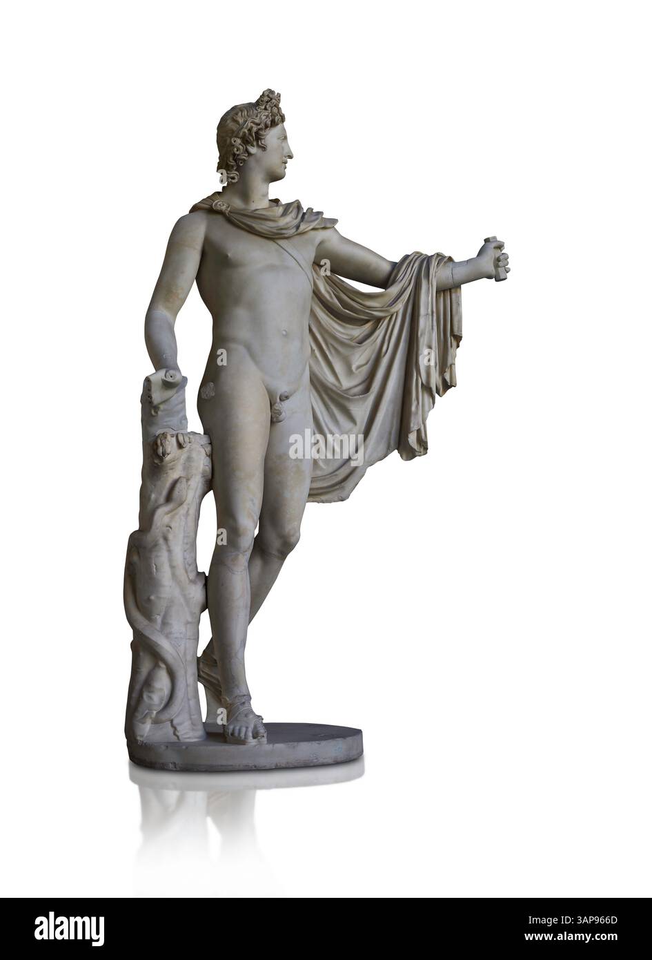 Roman statue known as the Belvedere Apollo. Mid 2nd Cent AD Roman copy ...