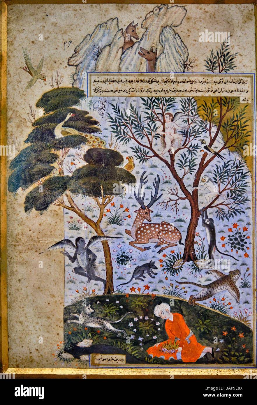 India, Delhi, New Delhi, National Museum, The Beauty of Creation, a study of nature, Persian period, 1540 Stock Photo