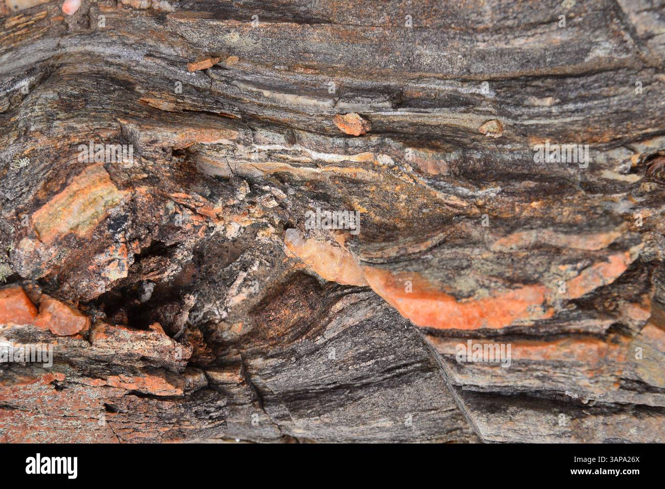Large cleavage hi-res stock photography and images - Alamy