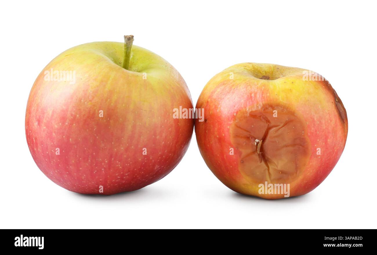 Rotten and fresh apples isolated on white Stock Photo - Alamy