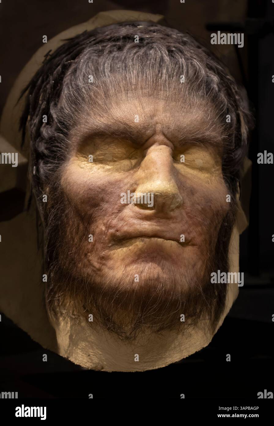 Fenrir Greyback, the werewolf Death Eater character from the Harry Potter  movies, Prosthetic mask at Warner Bros Studio, London, UK Stock Photo -  Alamy, image size:896x1390