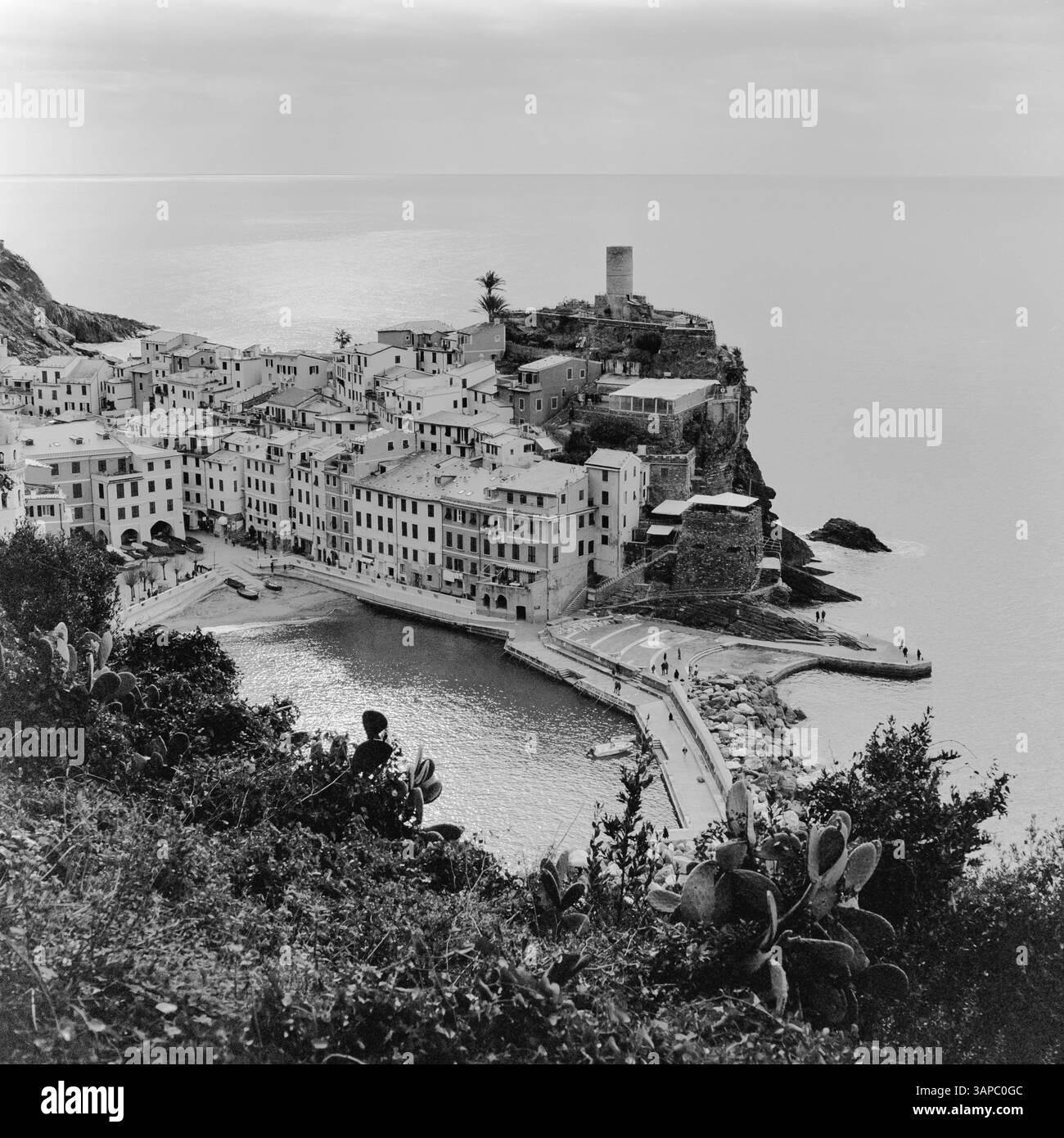 Analogue look Black and White Stock Photos & Images - Alamy