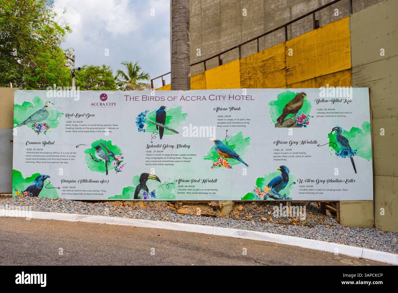 Accra, Ghana. Identifying Poster for Birds of Accra Stock Photo - Alamy