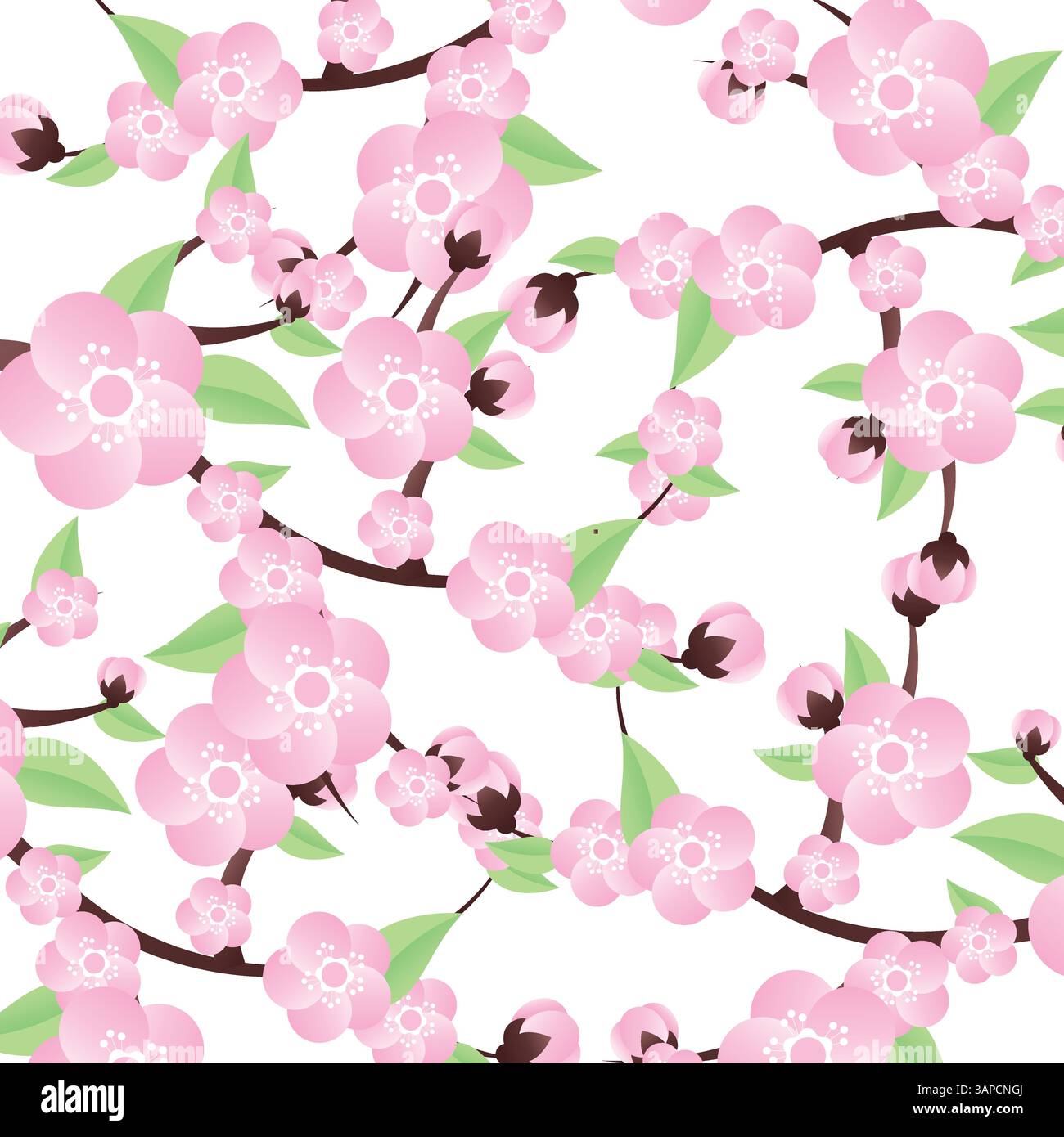Sakura Cherry Blossom Branch Vector Illustration Stock Vector Image ...