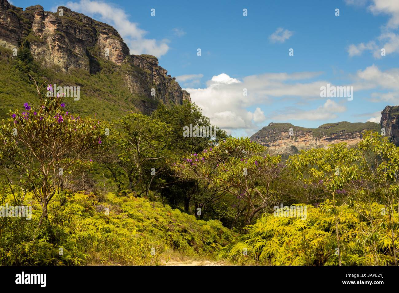 Unguided hike hi-res stock photography and images - Alamy