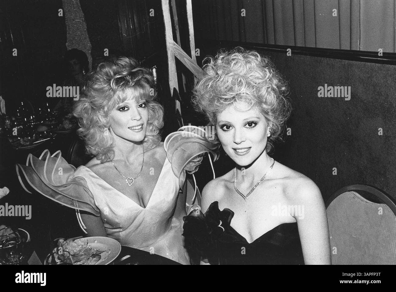 Judy Landers Hi res Stock Photography And Images Alamy judy-landers-hi-res-stock-photography-and-images-alamy