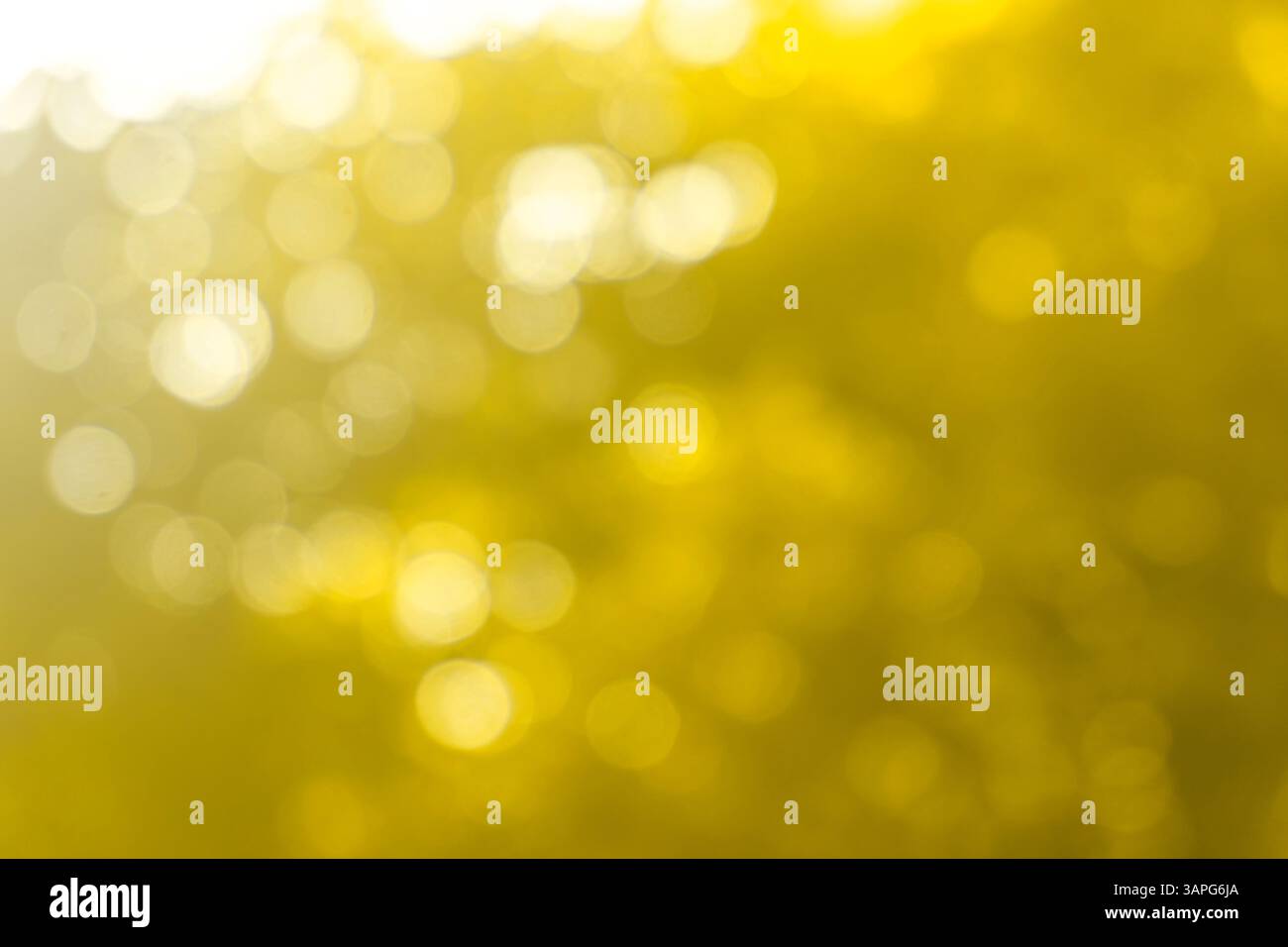 abstract green golden bokeh background Stock Photo