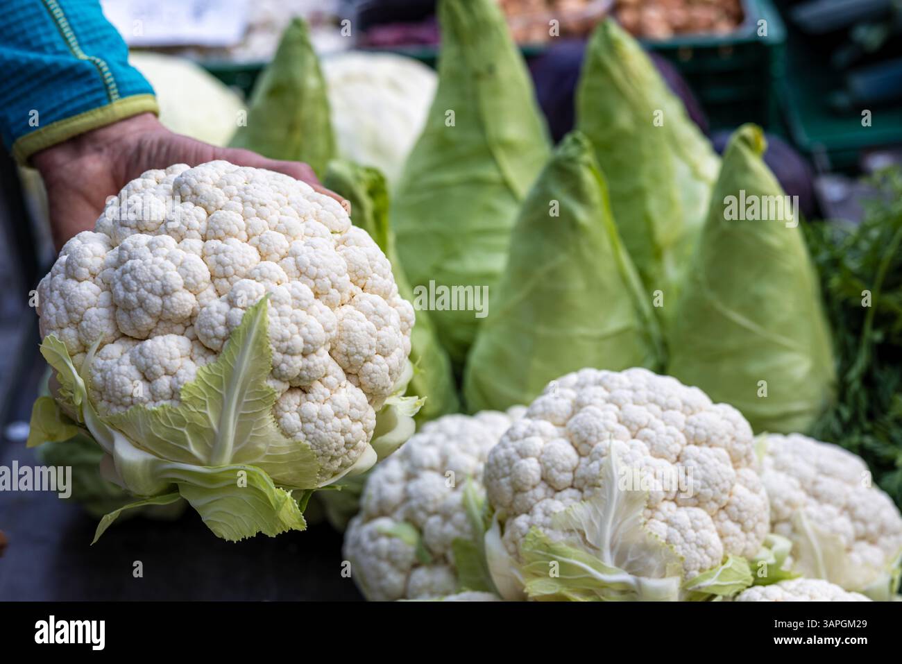 Cottbus, Germany. 12th Apr, 2025. A man grabs a cauliflower from a ...