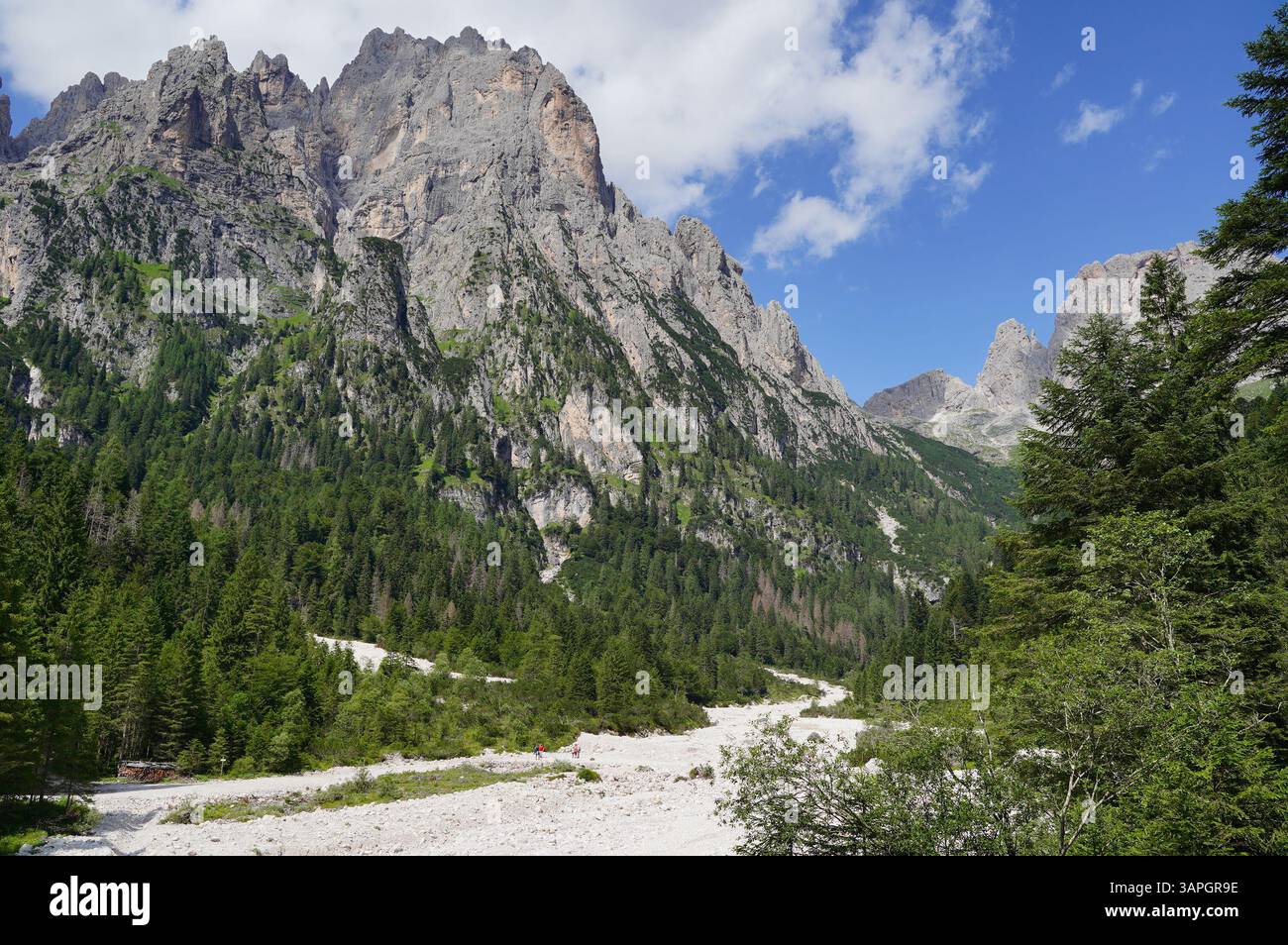 Breathtaking view of a towering mountain range surrounded by dense ...