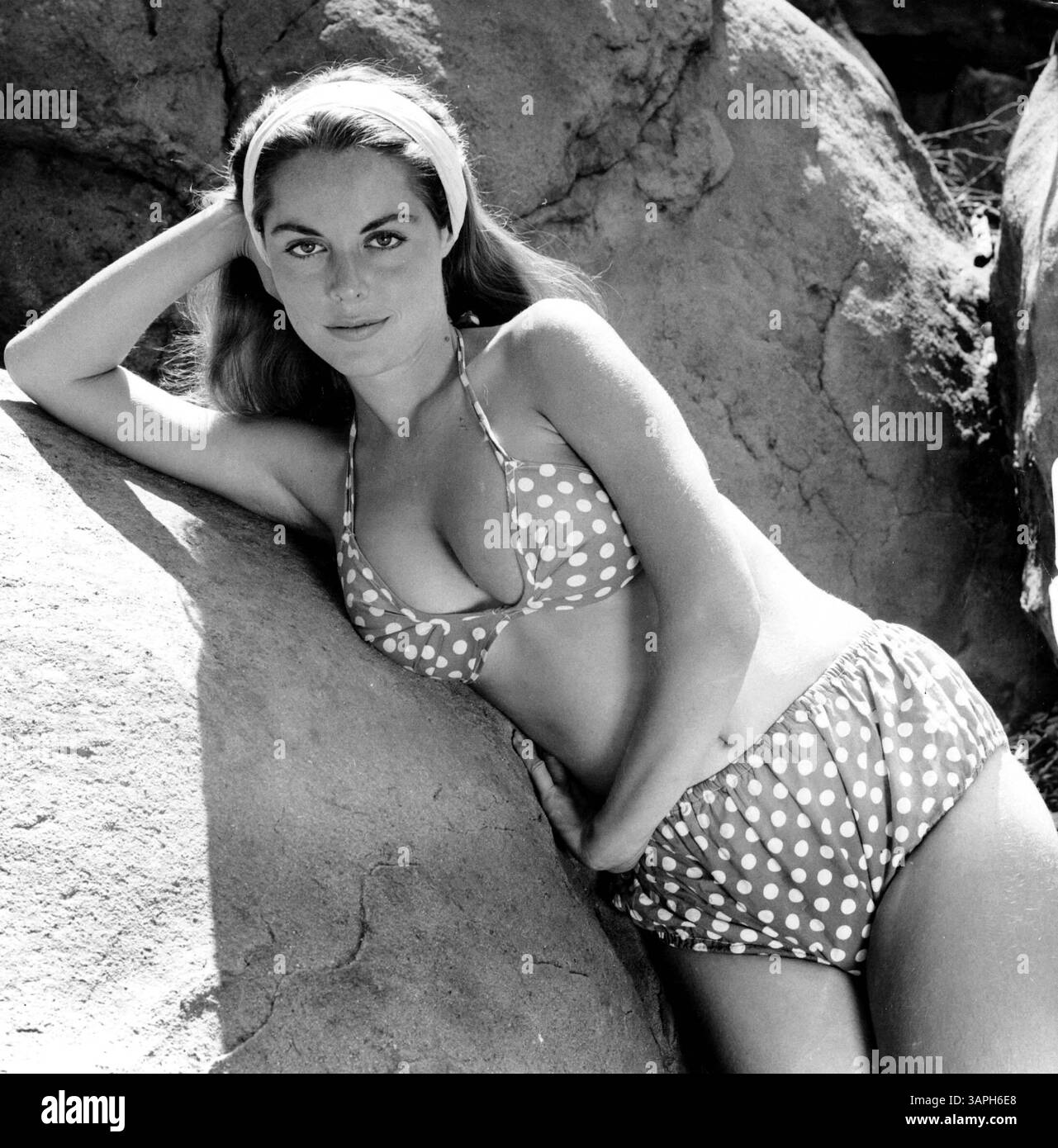 Diane webber hi res stock photography and images Alamy