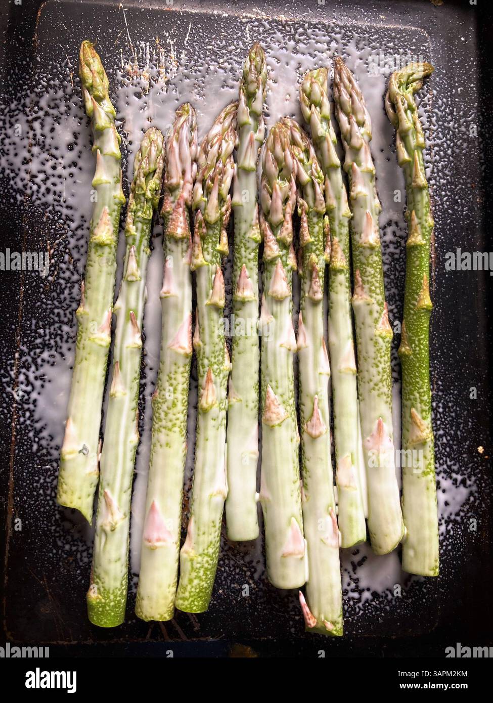 Row of asparagus tips on metal baking tray sprayed with sunflower oil ready for cooking. Top view flat lay - Smartphone Captured Stock Image