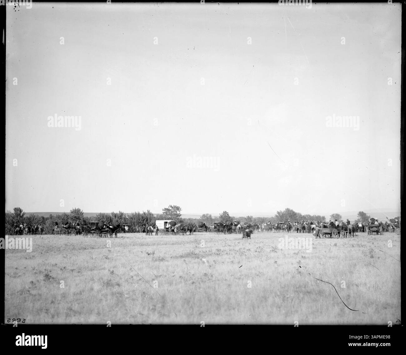 Photograph of ranchers, vehicles, and animals gathered for a farm ...