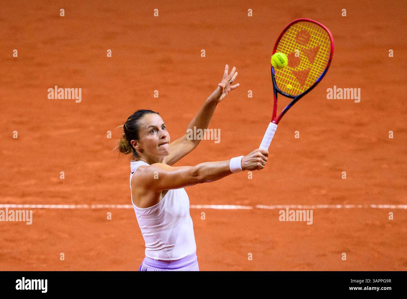 Wta Stuttgart 2025