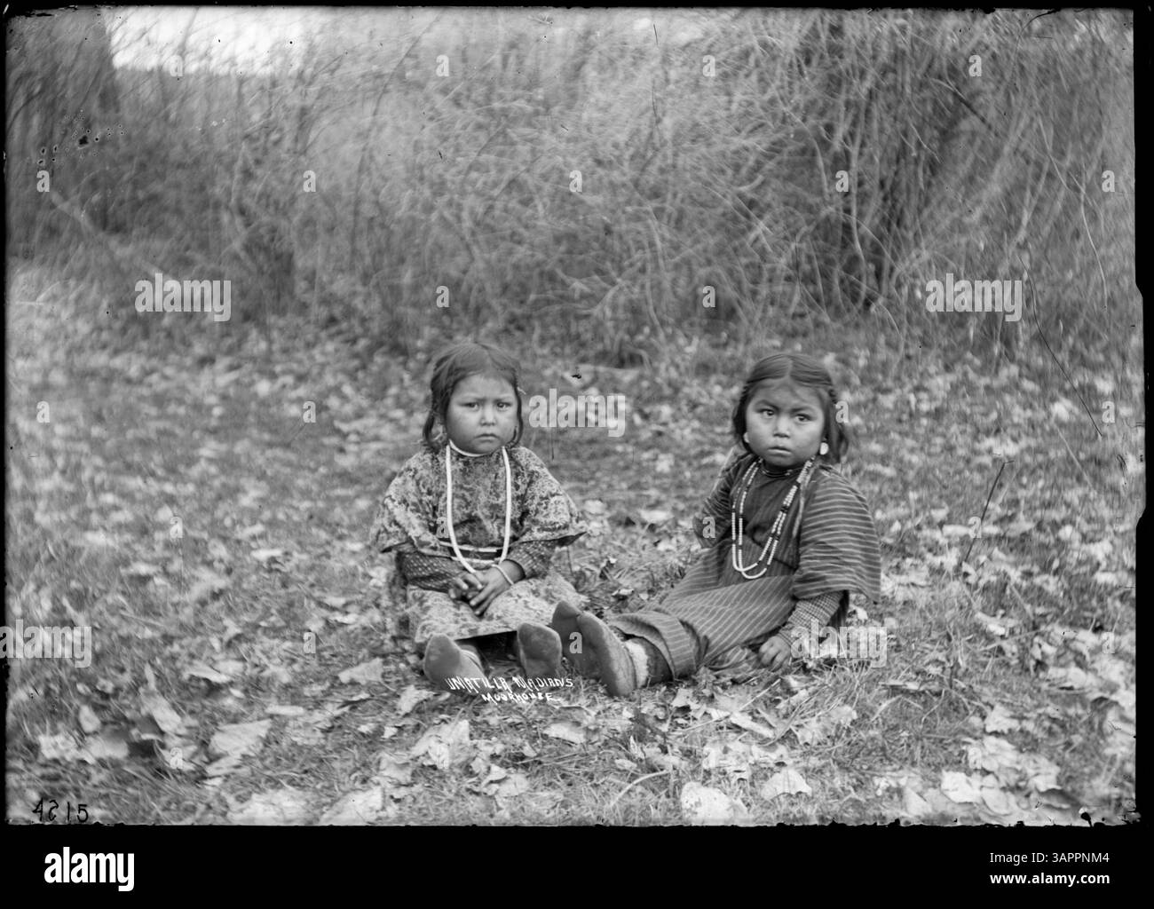 Shop - Houseify, image size:1300x1024