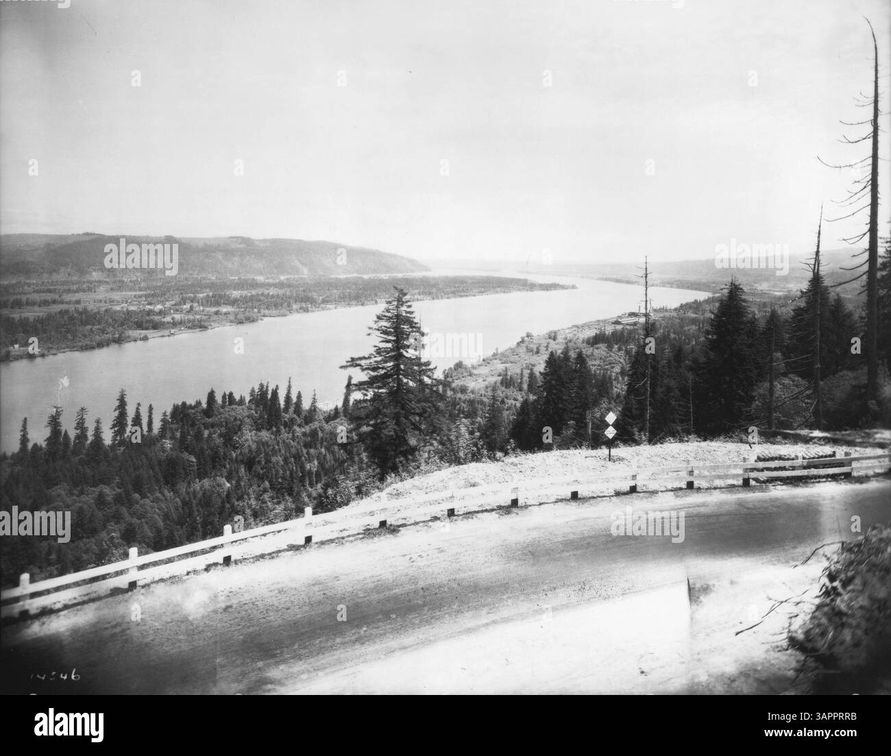 Distant view trees in Black and White Stock Photos Images Alamy