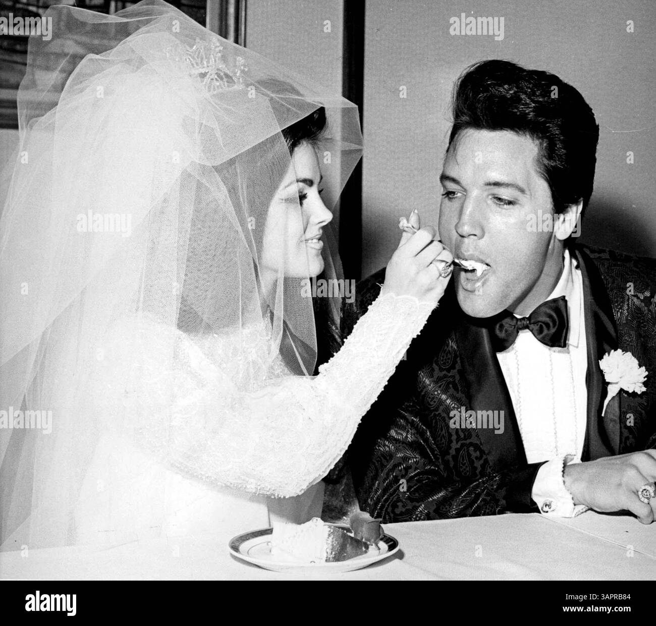 Priscilla Presley : âge, biographie et dates