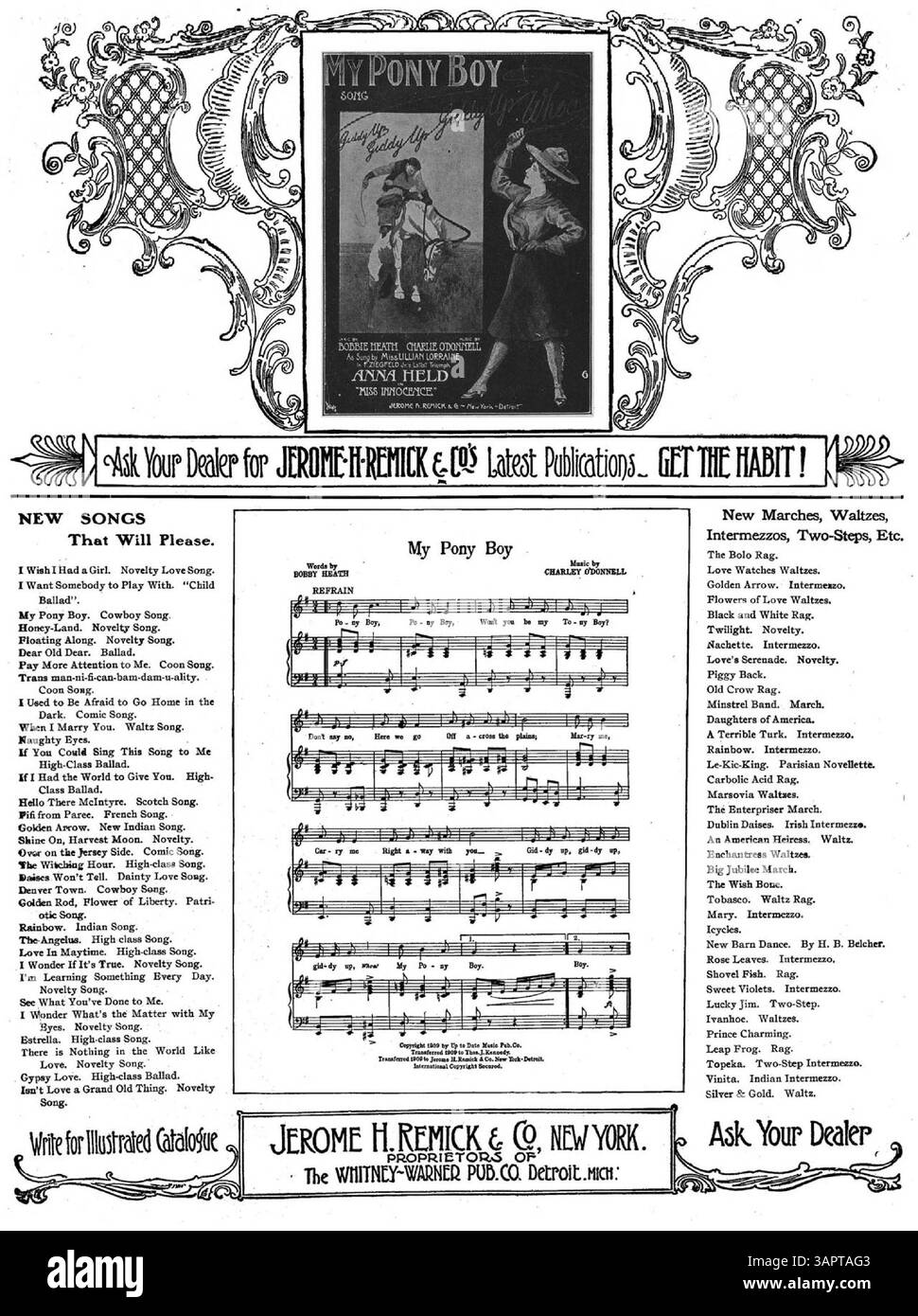 Back inside cover from Cut Out Stock Images Pictures Alamy