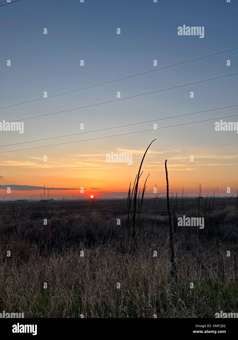 Magic spring - Smartphone Captured Stock Image