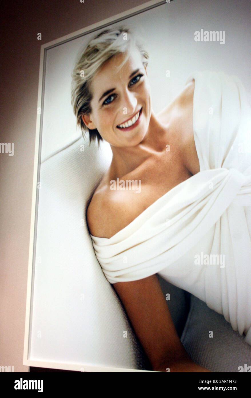 Princess diana portrait hi-res stock photography and images - Alamy