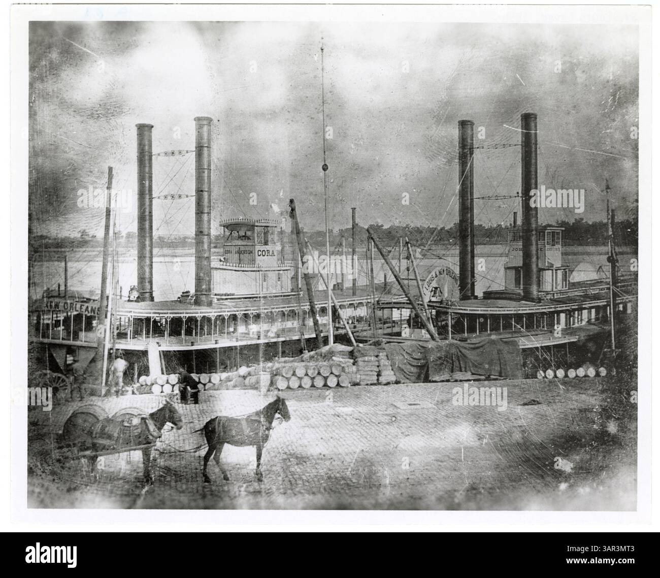 This black-and-white photograph captures the St. Louis Levee with two steamboats, Cora Anderson and John Roe, docked side by side. Horses are visible on the levee in the foreground, highlighting the bustling riverfront scene. Stock Photo
