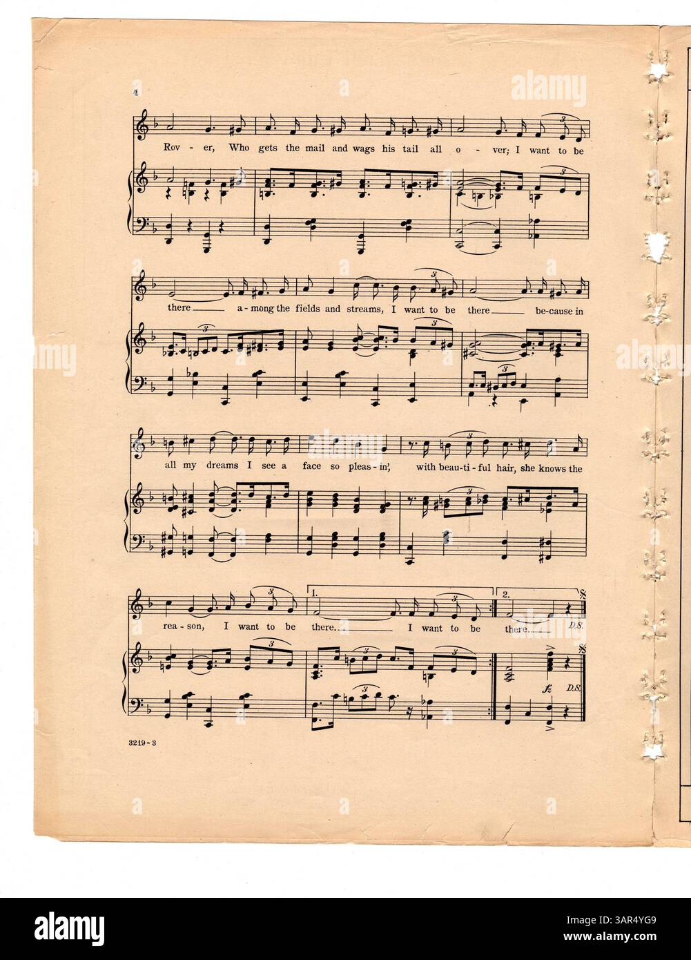 Feist leo hi-res stock photography and images - Page 2 - Alamy