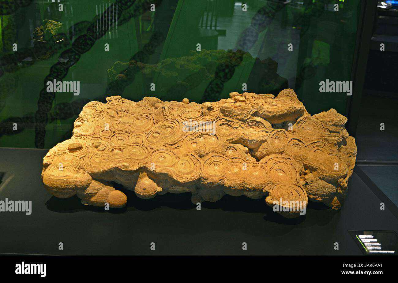 CosmoCaixa-Science Museum of Barcelona,Catalonia,Spain Stock Photo - Alamy