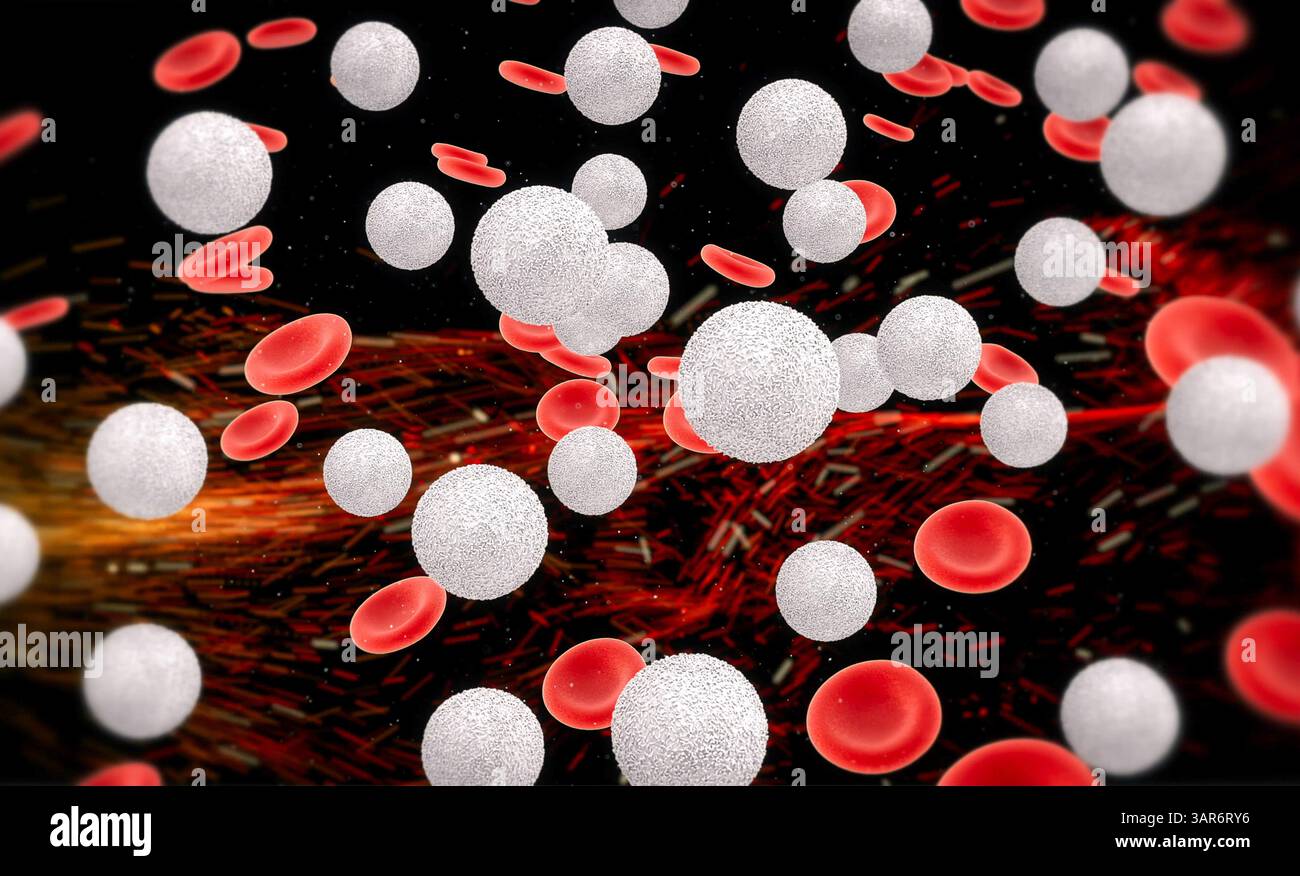 3d rendering white blood cells in vein with hemoglobin cells Stock ...