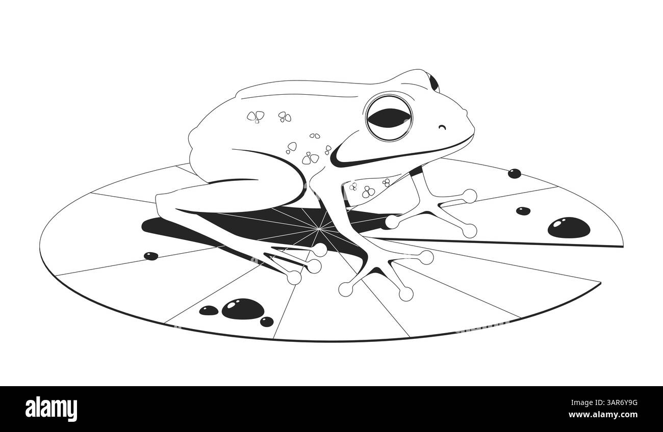 Frog lily pad line drawing Stock Vector Images Alamy