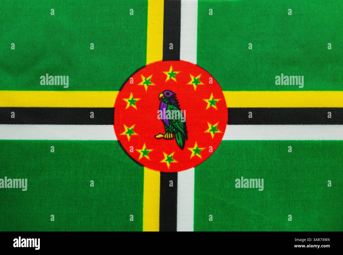 Brightly colored national flag of Dominica features a parrot at the ...
