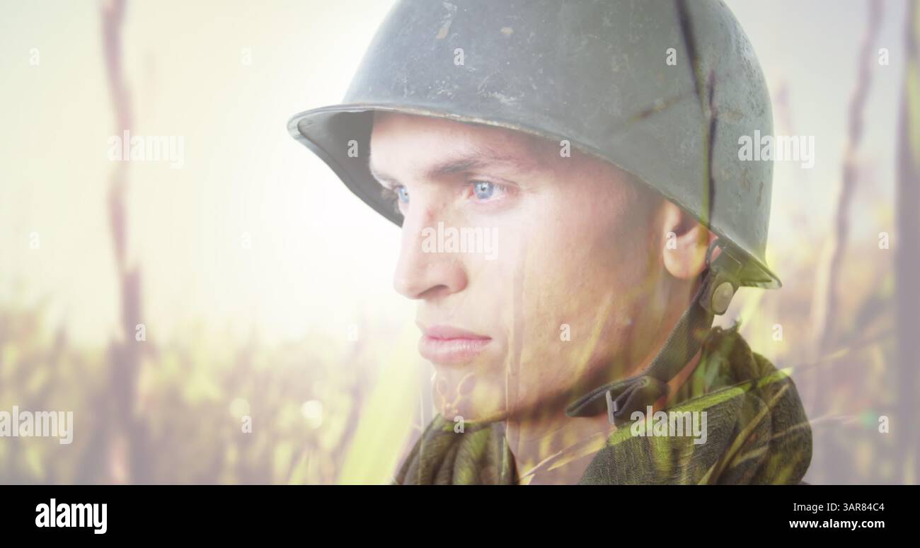 Image of caucasian soldier in helmet over meadow background Stock Photo ...