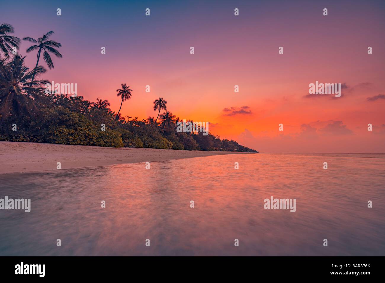 Tropical sunset beach palm hi-res stock photography and images - Alamy