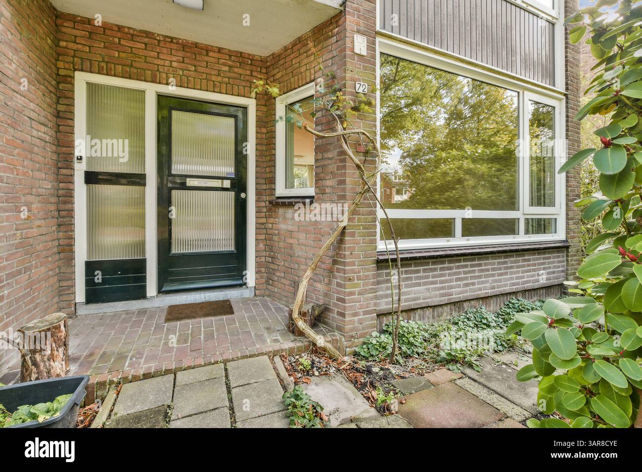 Image showcasing Sadie Sink Got a New Pet and He's a Little Bigger than Expected 1 ...