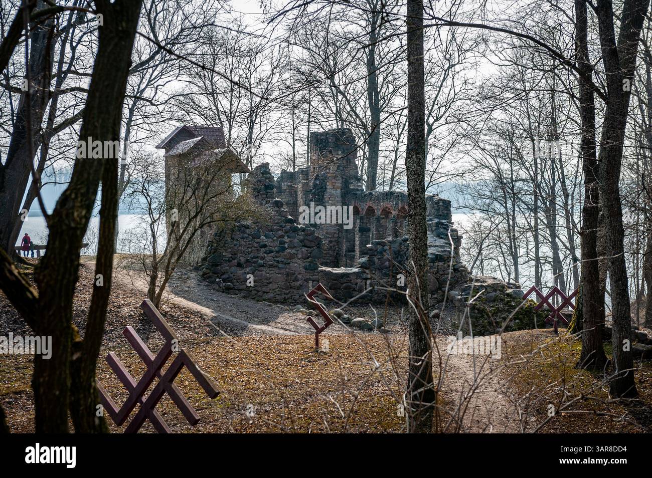 The Medieval Castle Ruins in Lielvarde, Latvia. Landscape in early ...