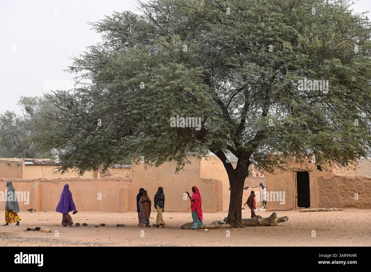 NIGER, Maradi, Hausa village Dan Bako, sandy street and clay houses ...
