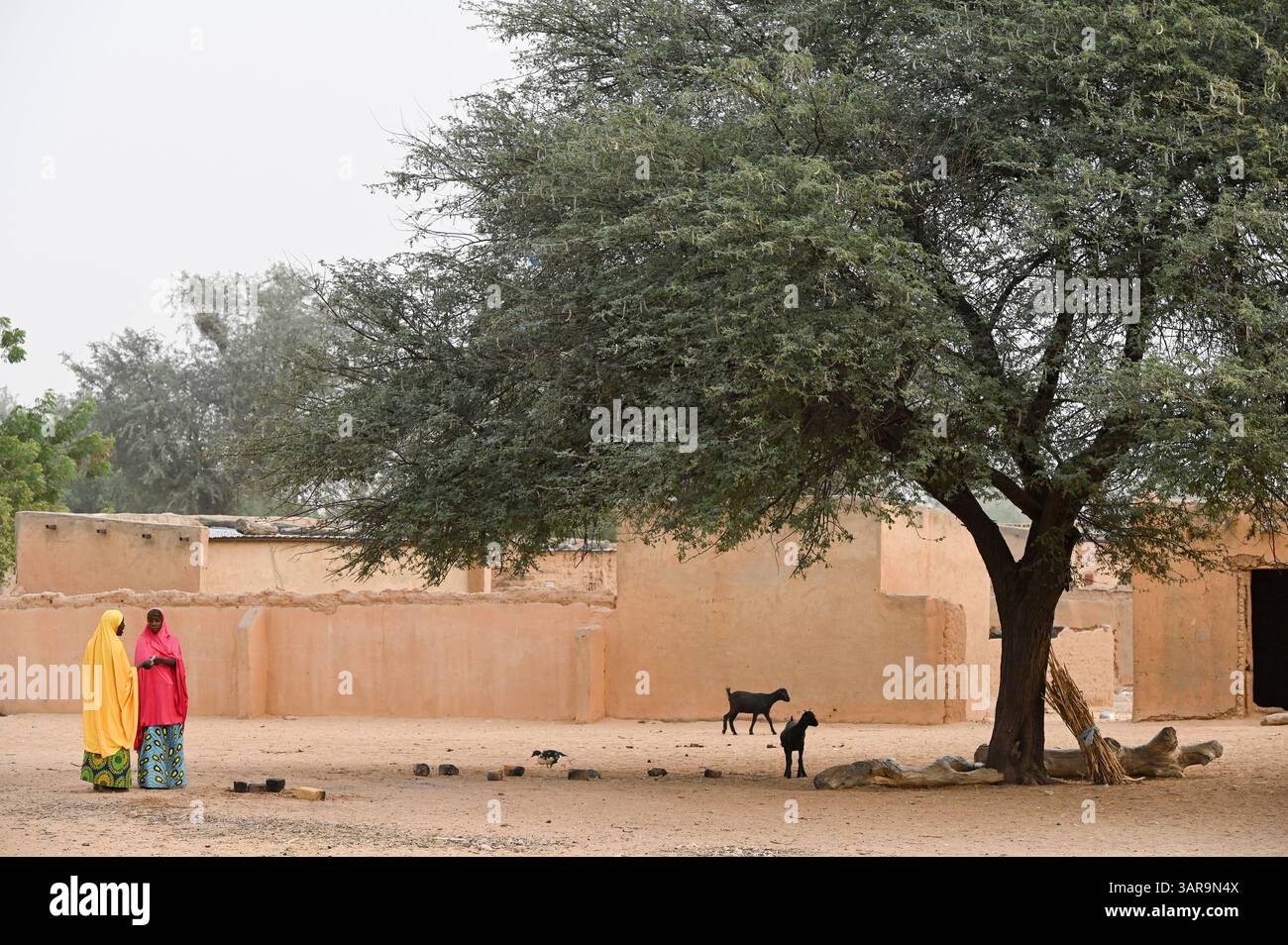 NIGER, Maradi, Hausa village Dan Bako, sandy street and clay houses ...