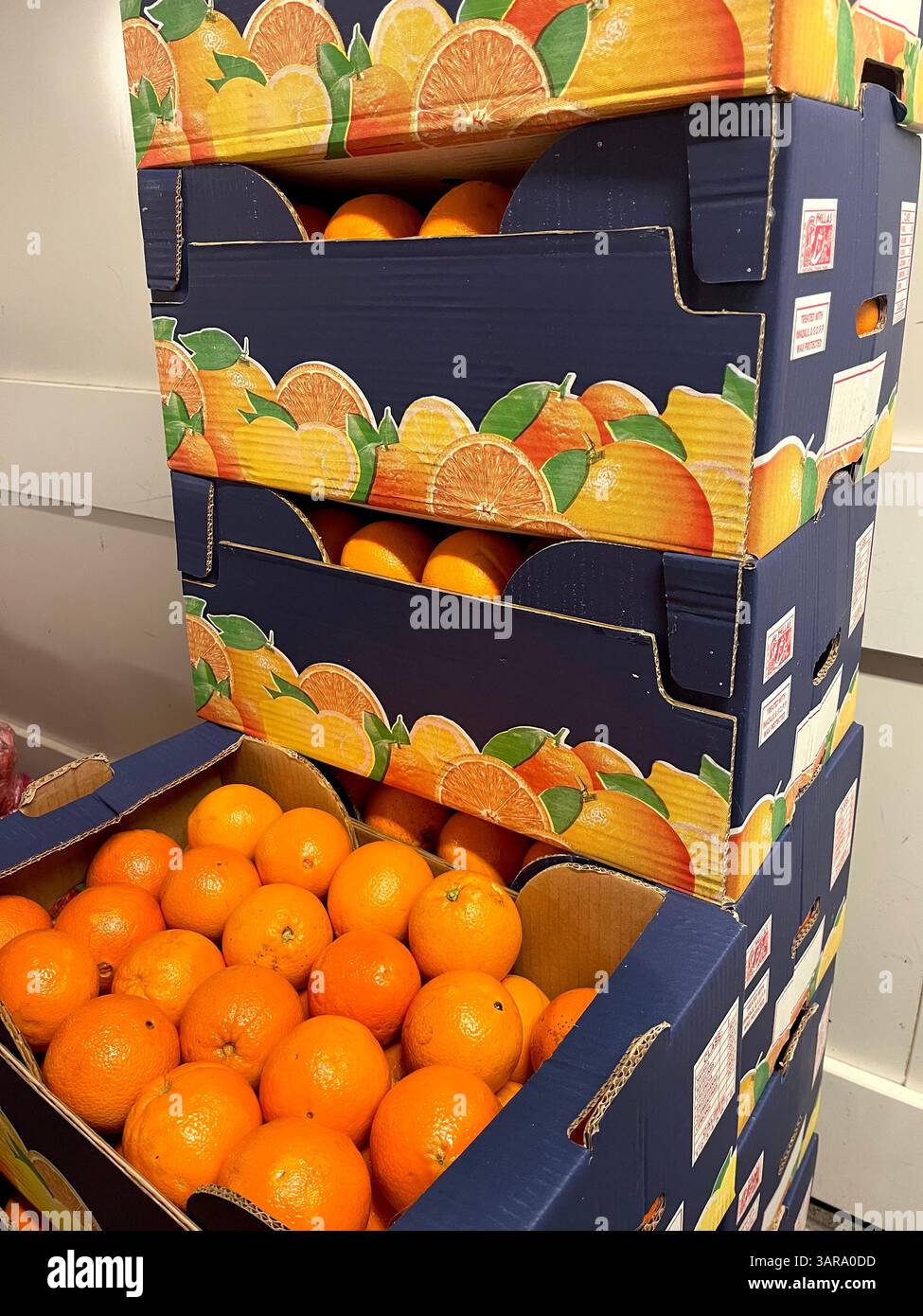 Cardboard crates filled with fresh ripe oranges, stacked and ready for market sale or distribution - Smartphone Captured Stock Image