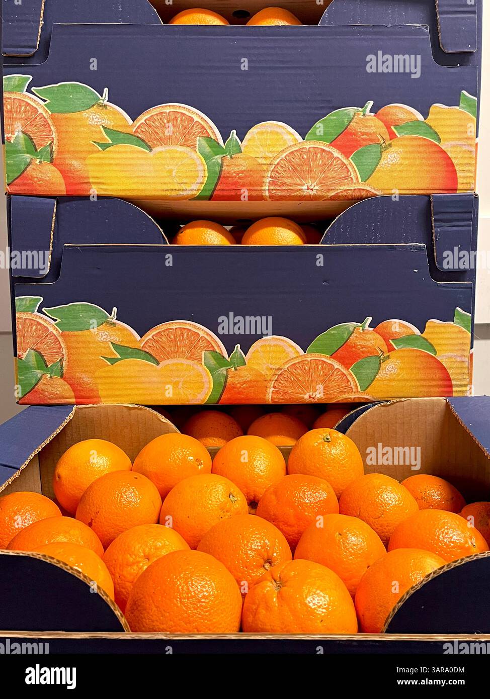 Cardboard crates filled with fresh ripe oranges, stacked and ready for market sale or distribution - Smartphone Captured Stock Image