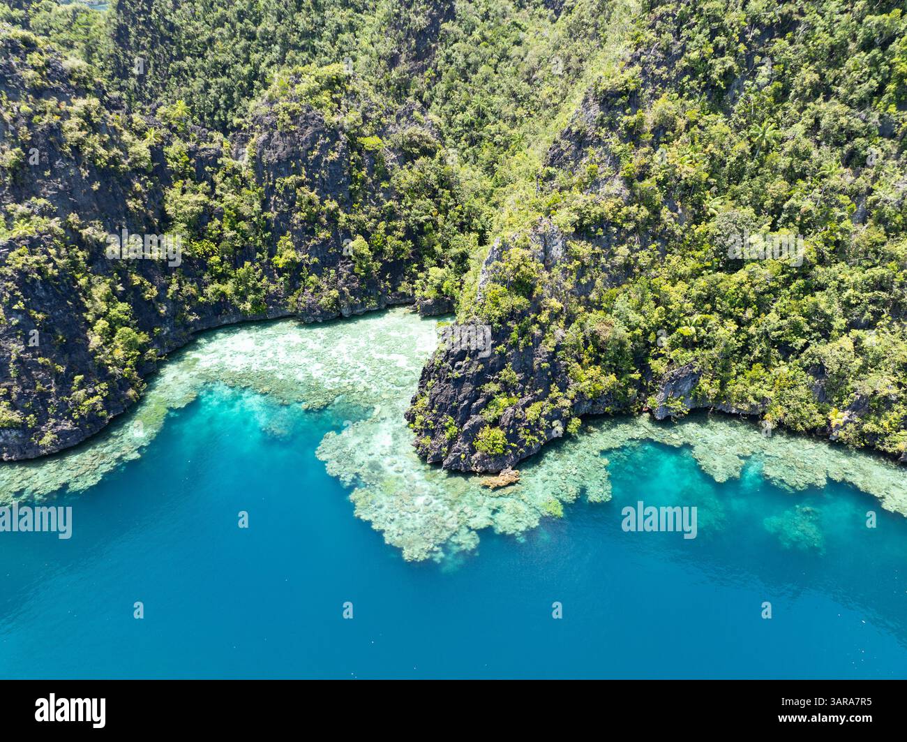Shells From Misool Beautiful limestone islands rise from the warm seas of Misool, Raja ...