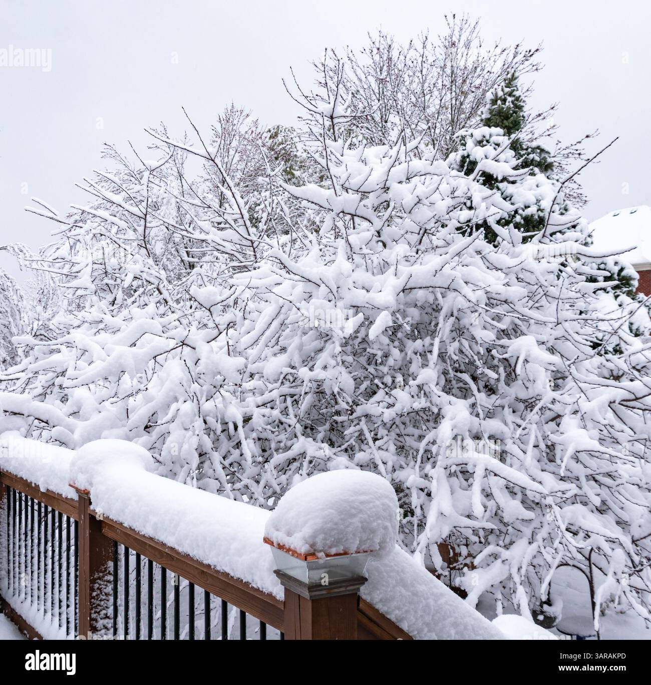 Bush wooden deck railing hi-res stock photography and images - Alamy