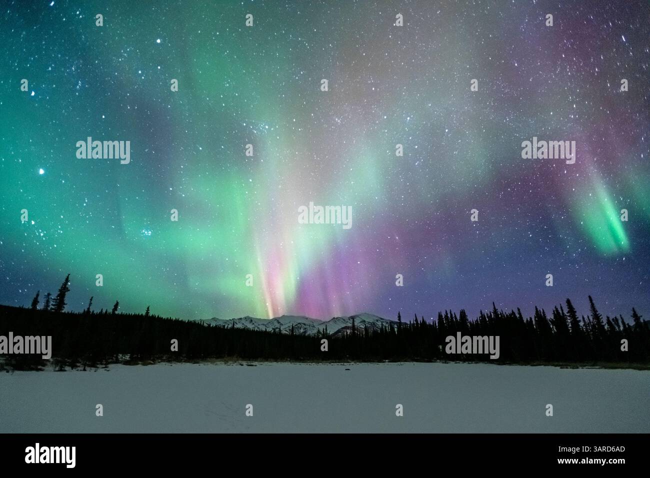 Northern Lights, Aurora Borealis, Alaska Stock Photo