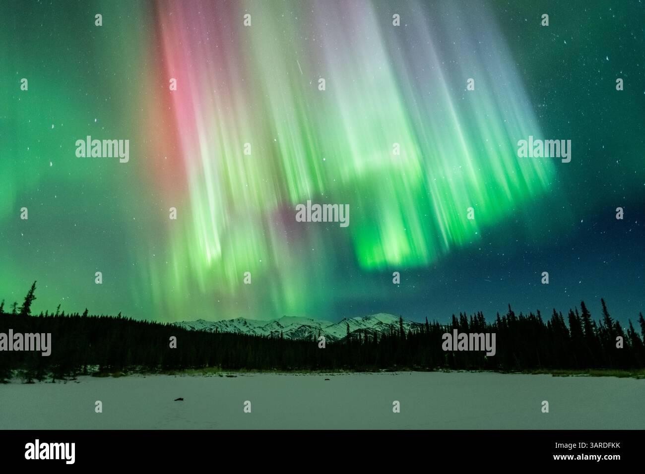 Northern Lights, Aurora Borealis, Alaska Stock Photo