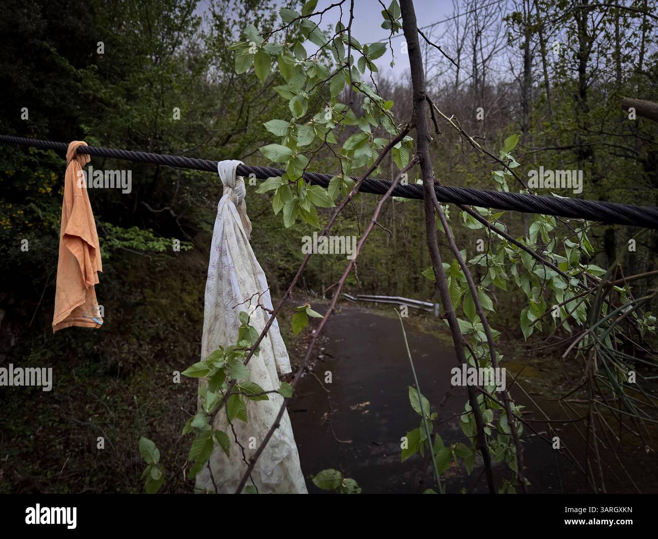 Castellamare Di Stabia, Italia. 17th Apr, 2025. Castellammare di Stabia April 17, 2025 Faito cableway, a cabin falls after a cable breaks. "Four victims and one seriously injured" Photo:Alessandro Garofalo/LaPresse Credit: LaPresse/Alamy Live News Stock Photo