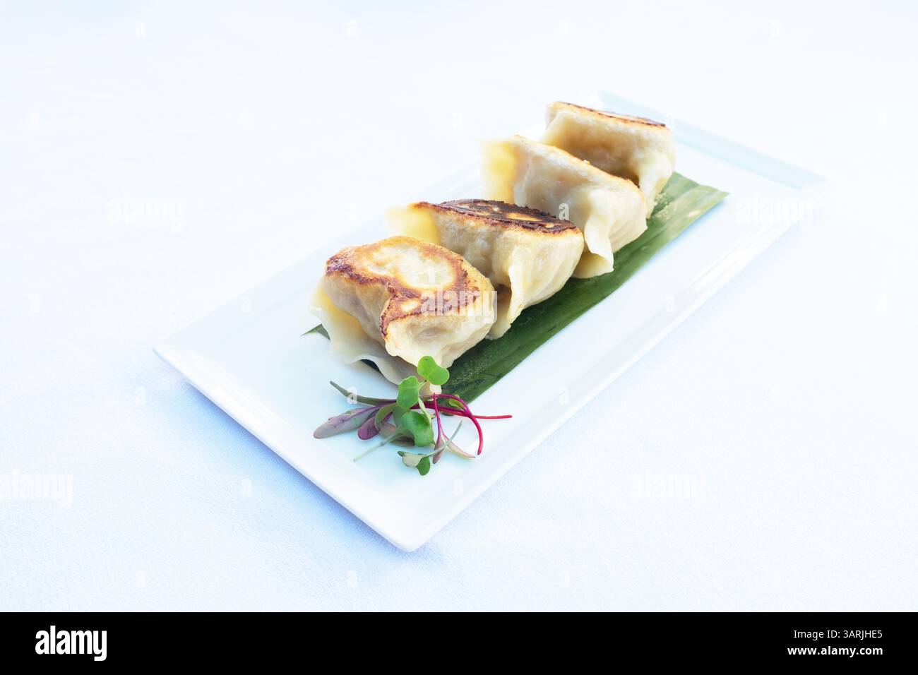 Chinese Dim Sum Panfried Pork Dumplings Stock Photo - Alamy
